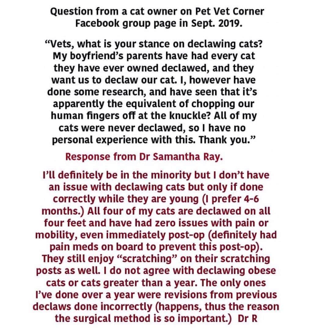 City the Kittyさんのインスタグラム写真 - (City the KittyInstagram)「We were so sad after seeing this reply from a declawing vet, Dr Samantha Ray, who is giving out such bad and false information that is so harmful to cats. 😿😿😿💔 (These comments were posted on the Facebook group page Pet Vet Corner​ a couple days ago.) We are happy to say that the cat owner told us she is NOT going to have her beautiful cat, Pumpernickle, declawed.  The owner even told us this, "When we took her to the vet for the first time, the doctor asked us if we wanted to declaw her, and I told him I thought it was bad for the cat, and he said it was harmless. But I knew better." Pumpernickle the cat beat the odds and will live a healthy and happy life with her much needed toes and claws because her owner is a good person and did her own research and didn't believe the declawing vets. ❤️👍🏻😺 Know the facts- citythekitty.org  #TakeTheHighRoad #Educate  Declawing vets can’t be trusted.」9月14日 5時29分 - citythekitty