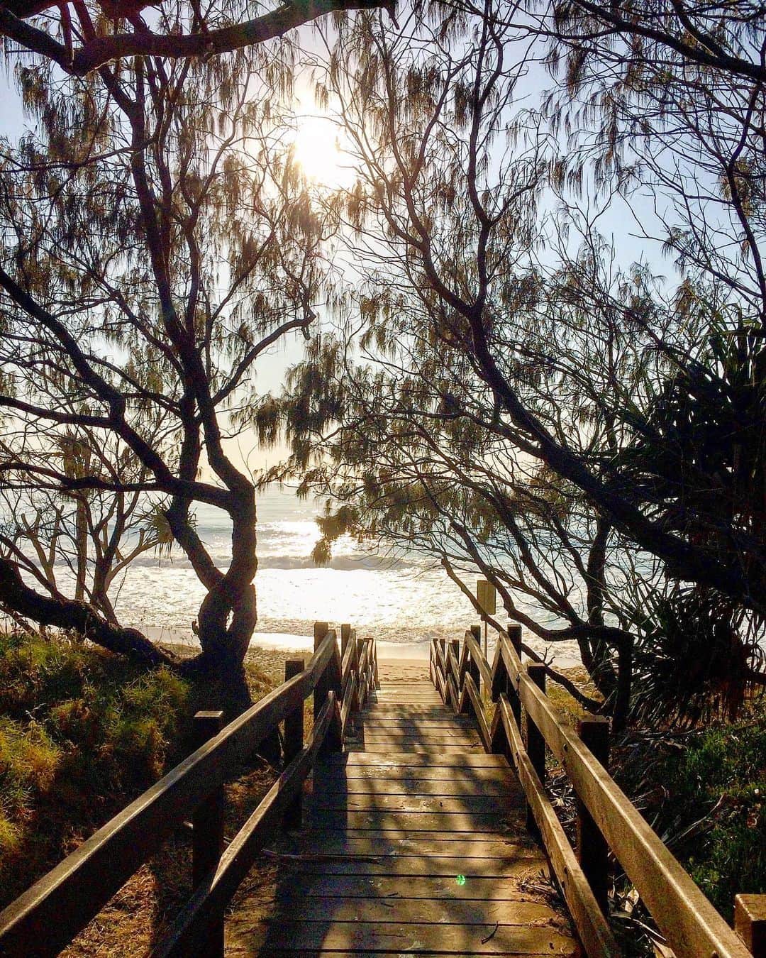 シャーニ・ヴィンソンさんのインスタグラム写真 - (シャーニ・ヴィンソンInstagram)「Stairway to Heaven #paradisefound #sunshinecoast #qld #australianbeaches #walkway #ocean #beachwalks #coastalwalk #nature」9月14日 7時25分 - sharnivinson