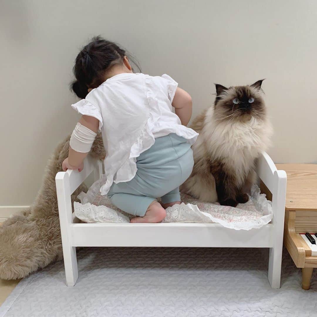 plumeのインスタグラム