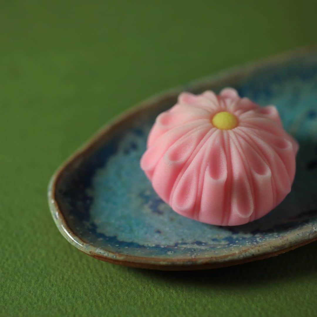 のインスタグラム：「今日の和菓子はねりきりで作った千代見草です。 ねりきりとは白餡に餅や芋を混ぜて作った和菓子で 茶道 で使われる「主菓子」の一種です。 撮影 用に作成しました。  フェイスブックページのいいね！もよろしくお願いします。 https://www.facebook.com/shishisu/ Today's wagashi is  chrysanthemum with Nerikiri. The Nerikiri is the material of wagashi made by mixing the rice cake and yam in white bean. Is a kind of "Jounamagashi" as used in the tea ceremony. The sweets I've made for the shooting. #福泉堂  #和菓子  #楽しい #funny #my_eos_photo #出雲  #swag #カメラ好きな人と繋がりたい  #写真好きな人と繋がりたい　 #model #life #可愛い #Japan #wagashi  #جميل #кондитер #ファインダー越しの世界 #ハワイ #work #hawaii #happy #Mignon  #igfood #lifestylenipponpic #photooftheday #เค้ก #sweets #торт #yummy  mahalo」