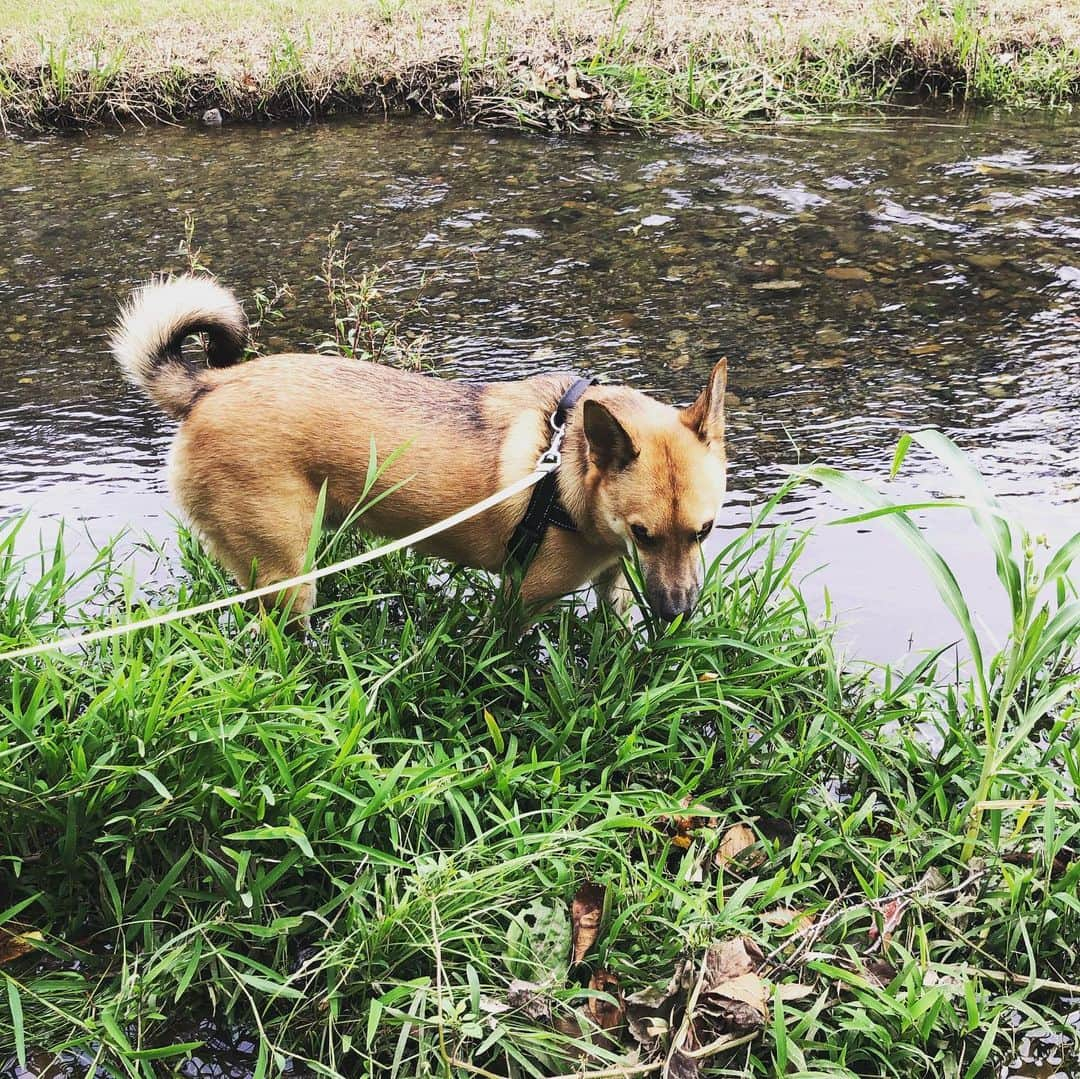 佐々木海のインスタグラム