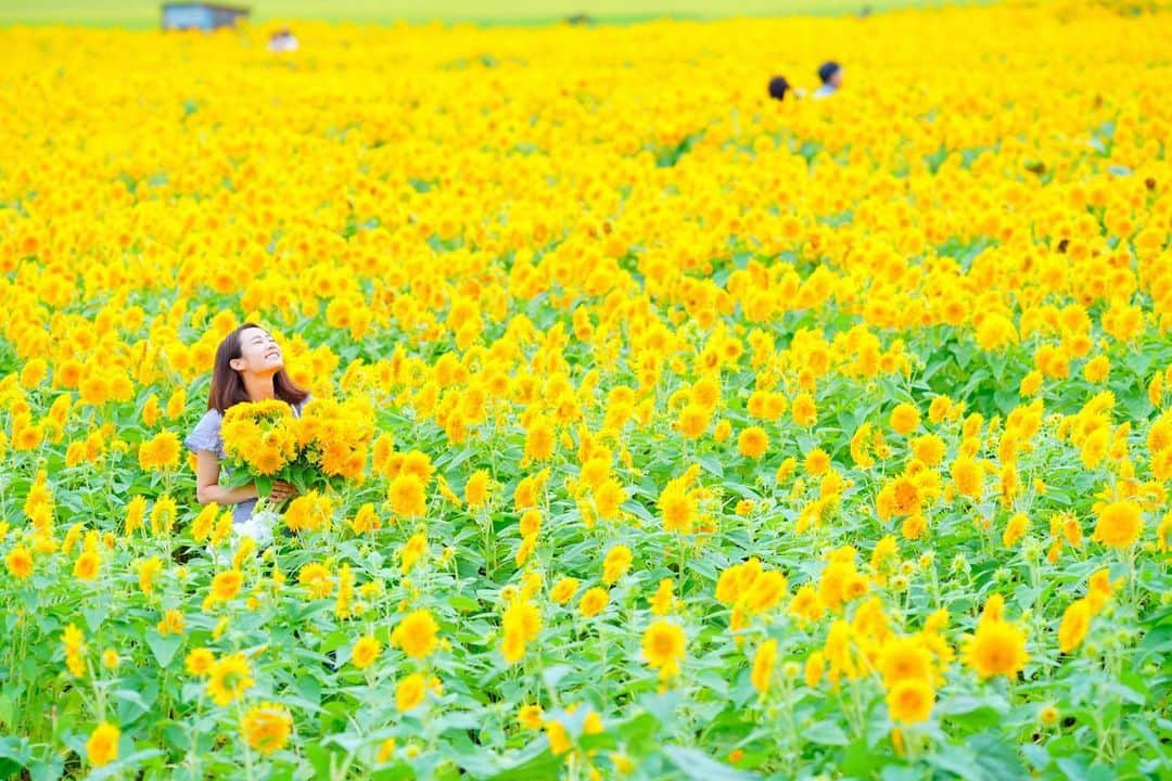 筒井萌子のインスタグラム：「・ 大好きなヒマワリまた来年も見たいな🌻 連れてって下さり @martsug & @ak.ymt  カメラマンさんありがとうございました◡̈♥︎ ・ #筒井萌子 #女優 #actress #モデル #model #岡山  #shooting #instagood #instalike #converse #撮影 #followme #instalike #ゴルフ #ゴルフ女子 #ゴルフコーデ #골프 #좋아요반사 #좋아요그램 #좋아요환영 #데일리그램 #패션 #오오티디 #카페 #ジップライン #サンシャインシティ #池袋」