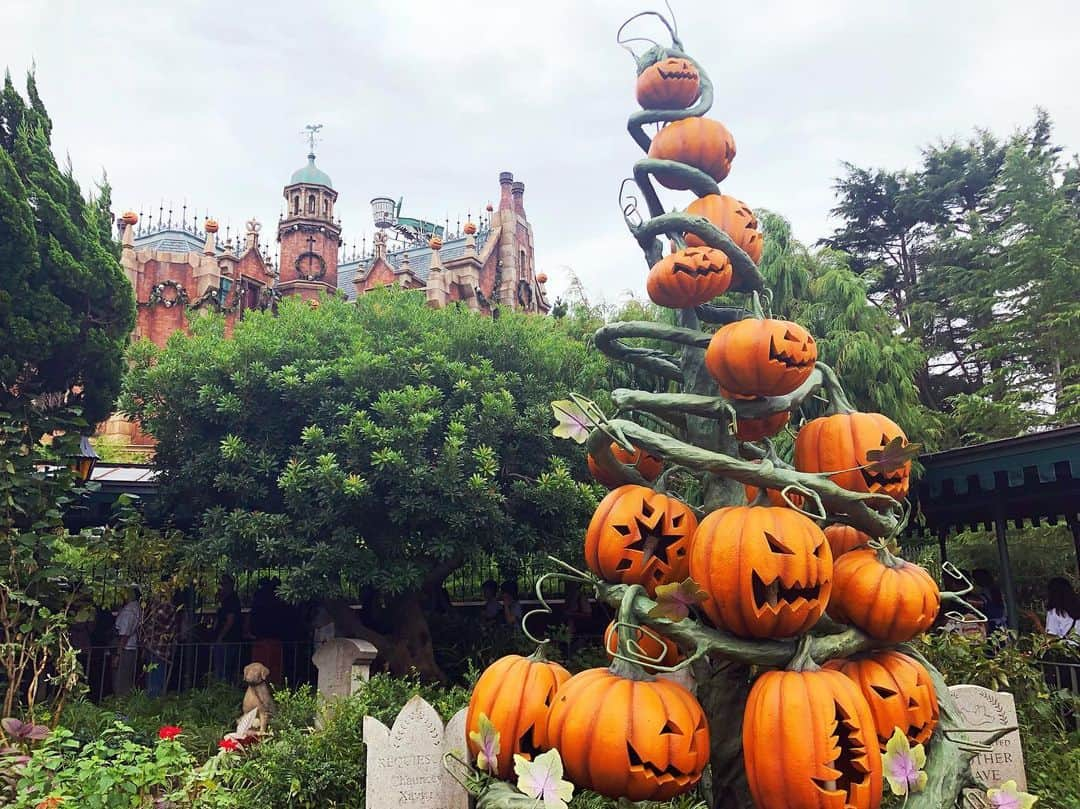 興梠友理さんのインスタグラム写真 - (興梠友理Instagram)「🎃Disney Halloween 2019🎃 My knee is now strong enough to enjoy full day at Disneyland😆 ・ 術後ちょうど6ヶ月‼️ 日頃の筋トレ&リハビリのおかげで体力も筋力もかなりついてきたから、今回は朝イチからめいいっぱいディズニーランドを満喫してきました😍 ・ 新アトラクションで平日でも混雑しているシーを回避して、今回はあえてディズニーランドへ🏰 ・ これが大正解✨ ファストパスを駆使しつつも、スタンバイの列も短かったから、ストレスフリーでかなり色々乗れました🥰 ・ 普段はパスするカヌー漕ぎやトムソーヤ島も行けたし💕 #カヌーのキャストさんはマッチョ率高し！ ・ そして巨大かぼちゃに喰われる写真は、現地でしっかり流行らせてきました😎(そして周囲の笑いもしっかりとってきました👍) #私の頭を突っ込んでるクラータのニヤケ顔にご注目 ・ スティッチ&エンジェルちゃんと偶然遭遇して、念願の写真が撮れたのも嬉しかった❤️ #クラータはスティッチに地味に顔をいじられてたという ・ そしてMr.インクレディブルとはお決まりのマッスルポーズ💪 #負けじと前腕の筋肉を強調してるクラータwww ・ 一日で2万歩以上歩いたから、流石に前腿が軽い筋肉痛になったけど、健常な足だった時と同じペースで遊べるようになったことが確認できたのは何よりの収穫でした☺️ ・ #東京ディズニランド #ディズニーランド #ディズニーリゾート #東京ディズニーリゾート #ディズニーデート#tokyodisneyland #disneland #tokyodisneyresort #努力は絶対裏切らない #ろぎ子の復活までの記録 #膝脱臼 #複合靭帯損傷 #前十字靭帯断裂 (ACL) #後十字靭帯断裂 (PCL) #内側側副靱帯断裂 (MCL) #内側膝蓋大腿靭帯断裂 (MPFL)  #前十字靭帯再建 #後十字靭帯再建 #半月板縫合 #半月板部分切除」9月14日 20時25分 - yuri_rogi