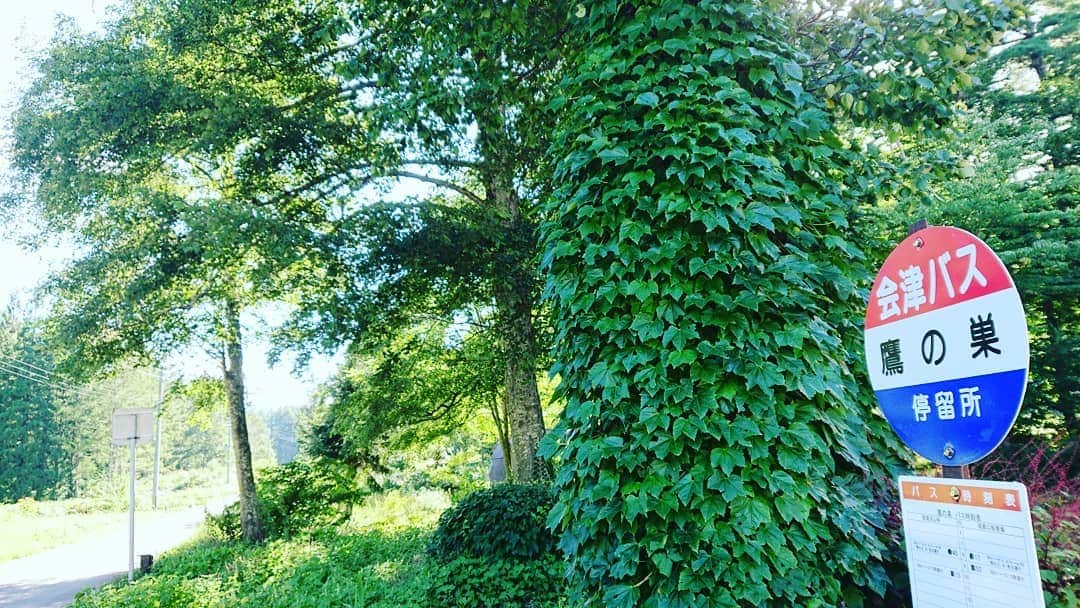 のインスタグラム：「ここで待ってたらネコバスが来るんだと思う🐈✨ 魚沼市鷹ノ巣🌲🌲🌲✨ ジブリの世界でした。  １０月９日(水) 水曜見ナイトで。  #となりのトトロ #トトロ#ネコバス #猫バス #停留所 #バス #ローカルバス #会津バス #路線バス #県境 #県境から行ってみずほ #ロケ #魚沼市 #鷹ノ巣 #福島市 #檜枝岐村 #水曜見ナイト #ジブリ #ジブリの世界 #japan #niigata #fukushima #trip #travel」