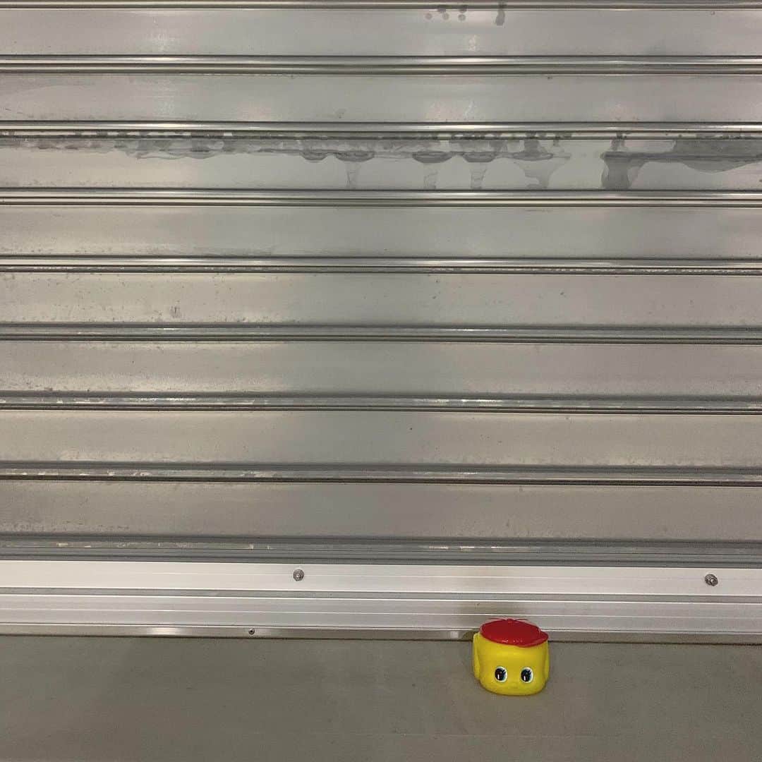 のインスタグラム：「名古屋に連れて帰ってきました #フエキくん」