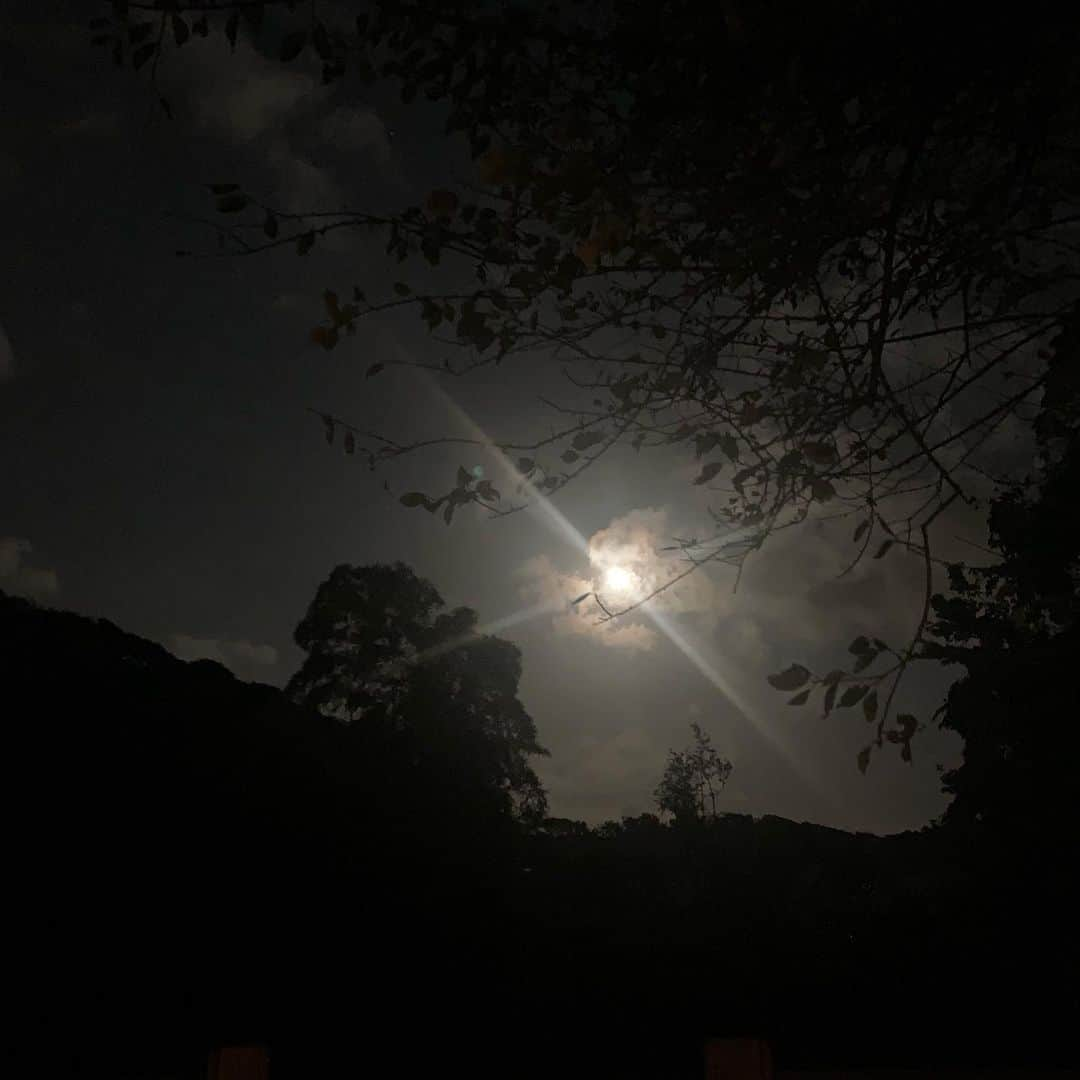 クリス智子さんのインスタグラム写真 - (クリス智子Instagram)「眩しい🌕 満月、よく見えました。 涼しくて、秋な夜。」9月14日 20時31分 - chris_tomoko