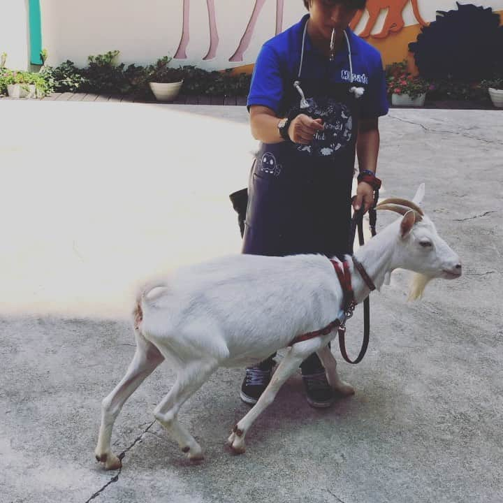 【公式】福岡ECO動物海洋専門学校のインスタグラム