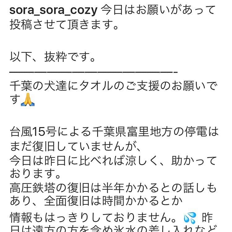 のインスタグラム：「相互フォローしていただいている @sora_sora_cozy さんの投稿のシェアです。 よろしくお願いします。 ※ 追記です。 支援は終了しました。 どうもありがとうございました。」