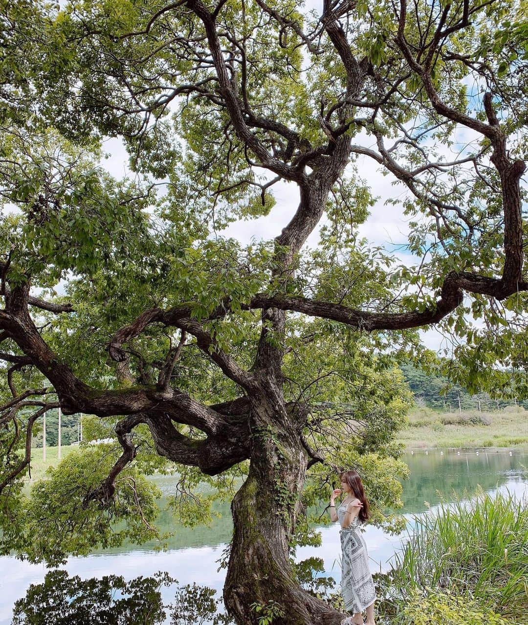 ウンソルさんのインスタグラム写真 - (ウンソルInstagram)「숲속 요정이 된것 같은 기분..🧚🏻‍♀️ 오래된 나무들로 이루어진 무성한 숲길은 힐링하기에 넘나 죠았땅❤️ #전라남도 #화순」9月14日 13時35分 - taylanofficialx