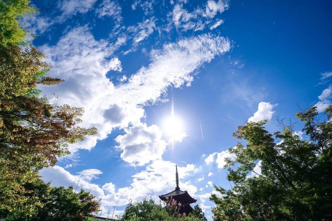 THE SODOH OFFICIALのグルメインスタ