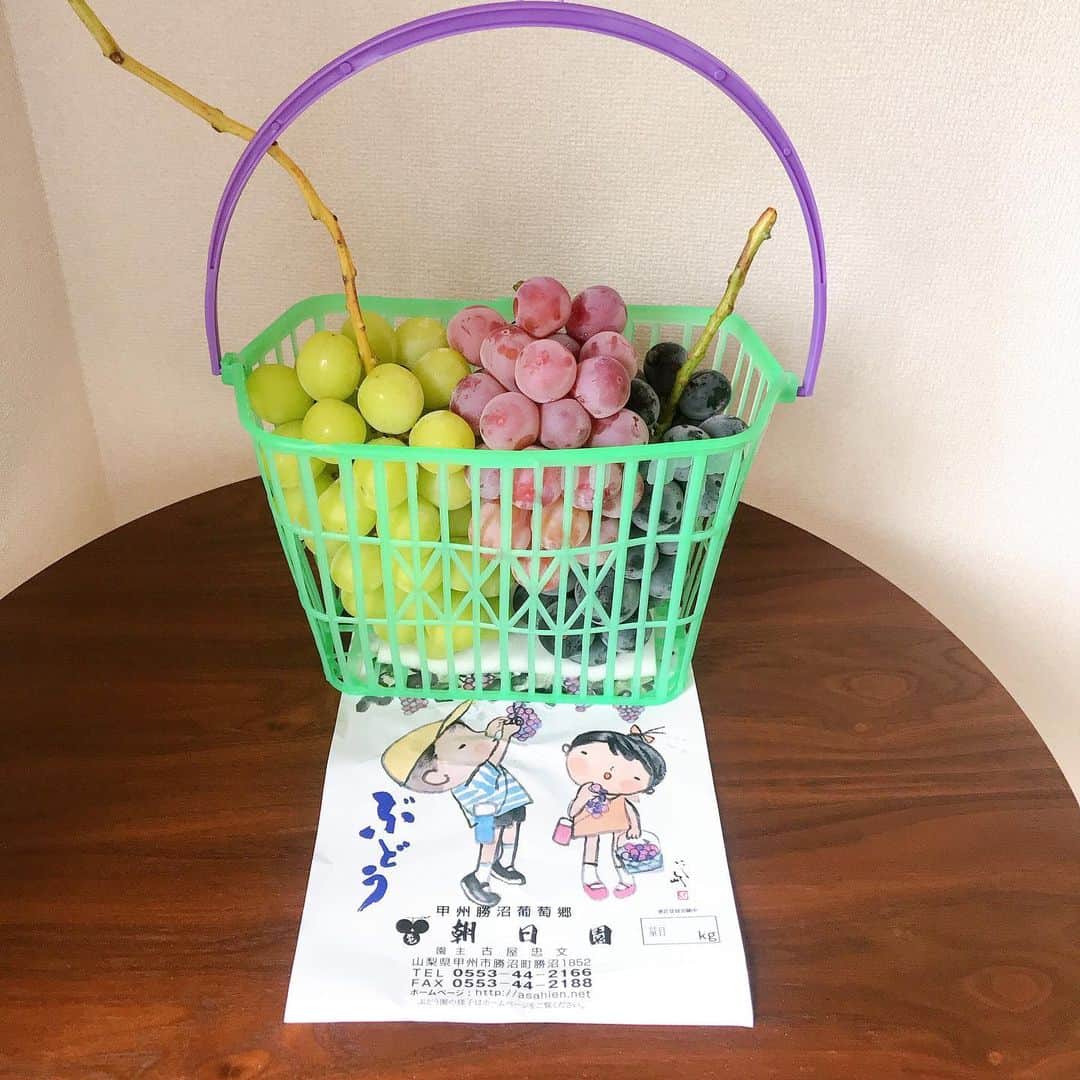 のインスタグラム：「朝日園の葡萄🍇 ぶどう狩りのお土産いただきました☺︎ 今年も甘い〜❤︎ 朝日園、最近行けてないなぁ。 @wakanozawa とよく行ったわ 笑 ゆきたん @yukitang0509 ありがとう❤︎ #朝日園 #山梨 #甲州 #ぶどう狩り #happy」