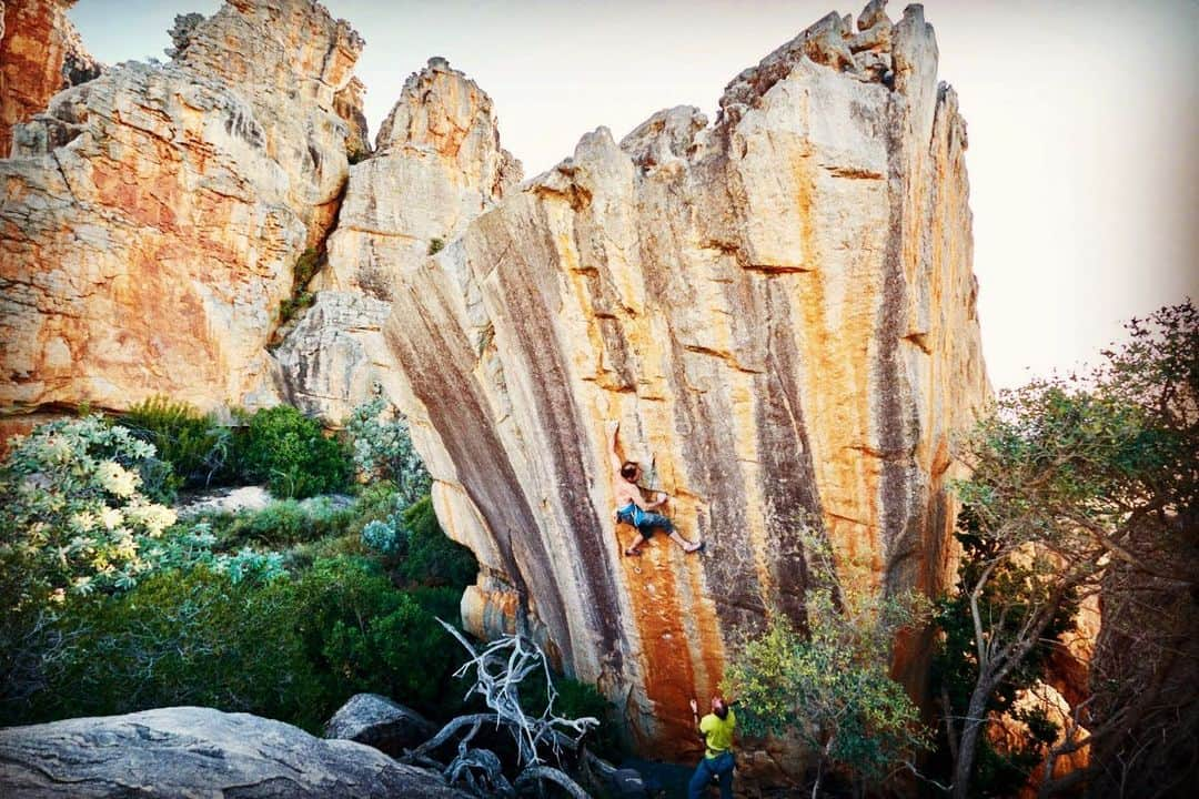 フレッド・二コルのインスタグラム：「Yesterday I was finally able to finish a project that had many up and downs like seldom in my life. 2014 I saw this beautiful line and with Joe we started looking at the movements. 2015 Sean asked Cape Conservation for permission to bolt and I started seriously working on it. The route has 2 parts: a really hard boulder on tiny slick holds, followed by an easier but sustained section to the top. I started to understand the moves of the boulder section but wasn’t able to put it together. The following season was my best and I did the route in two sections. 2017 and 2018 I was struggling to do the moves due to a hip problem, so that I spend a lot of time finding solutions that worked with an handicap. November 2018 I had a hip replacement as even walking was getting impossible without pain. When I came back this year I didn’t know what to expect. I was surprised to see that my flexibility was back and I could do the moves again. But there was something lacking and one day when I was working on the route with Joe and Kaddi, she proposed a slightly different version that made the first section possible again. On my best go I fell just after the crux section, and was able to do it till the top. Unfortunately the following tries didn’t go well. When Giuliano asked me if I mind him trying the route I sincerely didn’t know what to answer. In my generation it’s not usual to try somebody’s project till the person does it or gives it free.  In the same time I didn’t feel like telling somebody I know since he was born, and that I respect for his performances, not to try it. I let the decision to him and wished him sincerely luck if he would go for it! A few days later „Legacy“ was born!  Yesterday the weather was on my side and with a cold wind I was able to link both sections together and do this personal challenge. I’m not interested in the controversy this route has built. The important things for me remain respecting the ethics, the people, the nature, the rocks and staying open for constructive discussions as we can all learn from each other and keep having fun! @fiveten_official @blackdiamond @e9clothing_official @climbskinspain #rocklands #bouldering」