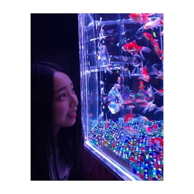 斎藤亜美のインスタグラム：「きんぎょっっ #金魚アートアクアリウム  #金魚」