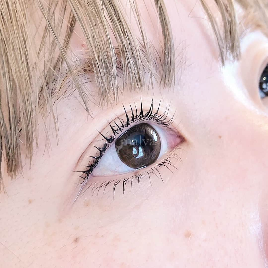 nailsalon malva（ネイルサロンマルヴァ）さんのインスタグラム写真 - (nailsalon malva（ネイルサロンマルヴァ）Instagram)「まつげカール上下♪⠀ ⠀ ナチュラルなドーリー感を手に入れるなら断然下まつげのカールもぜひ💜⠀ ⠀ スワイプで動画もご覧いただけます✯*･ :.｡⠀ ⠀ 🖤🖤🖤🖤🖤🖤🖤⠀ ⠀  𝐧𝐚𝐢𝐥 𝐬𝐚𝐥𝐨𝐧  𝐦𝐚𝐥𝐯𝐚⠀ ⠀ ⠀ 原宿LINE@→(@malvaで検索)⠀ ご予約はLINEよりお願いします♡⠀ http://www.malvanail.com/sp/tokyo/price/eyelash.html⠀ ⠀ #malvaアイラッシュ#アイラッシュ#malva#マツエク#まつえく#メイク#まつエクデザイン#森絵里香#lashes#eye#まつげエクステ#まつエク#nail#eyelash#アイリスト#アイメイク#カラーエクステ#下まつげカール#メイク#ネイル#まつげエクステつけ放題#アイリスト募集#makeup#まつ毛カール#まつげカール#beauty#fashion#cosmetics#まつげ美容液#美容」9月14日 16時00分 - malva_nail