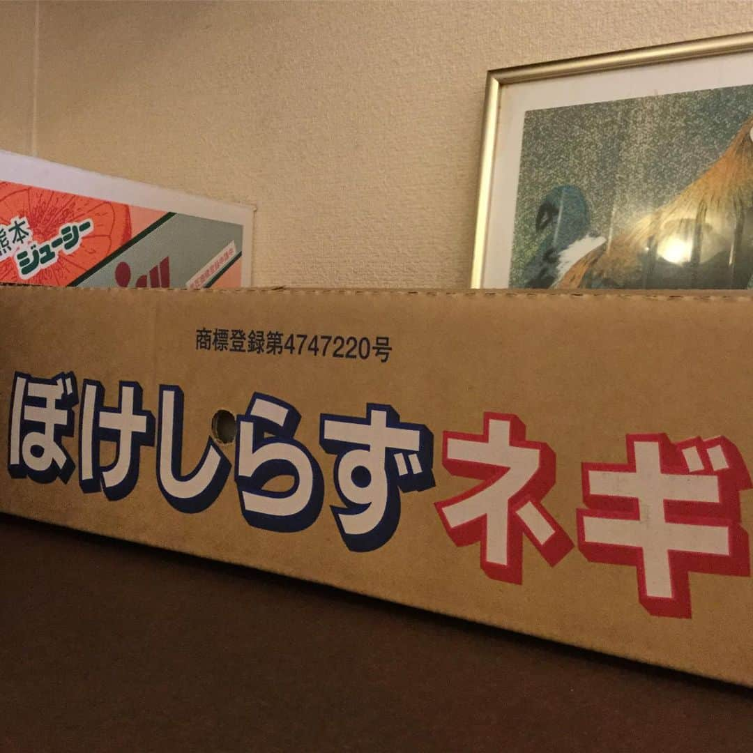 ミユさんのインスタグラム写真 - (ミユInstagram)「今年の夏最後に冷やしねぎそばを食べた人です 滑り込みセーフ #本日のつや麺」9月14日 16時16分 - _miugram_