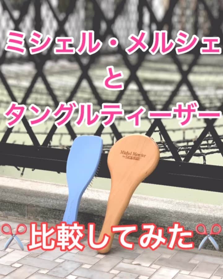 鶴谷和俊のインスタグラム：「【比較シリーズ】ミシェルメルシェとタングルティーザーを比較してみました✂️ ・ 僕の大好きなブラシ ミシェルメルシェ、タングルティーザーの比較はいつか聞かれると思い動画にしてみました😊 ・ ミシェルメルシェは 32の異なる長さ 16の異なる太さ 428本からなるブラシ ・ タングルティーザー ウェットディタングラーは 長短交互に 配列された325本 ・ ミシェルメルシェは ピン先が丸く、地肌に様々な 強さの圧力がかかるので 地肌のブラッシングもできます🙆‍♂️ タングルティーザーは ピン先が尖っているので ブラッシングしすぎはNG！！ ・ とかした感覚は ミシェルメルシェは優しくとかしてくれる感じ。 タングルティーザーは根元からしっかりとかしてくれる感じです🙋‍♂️ とかすで考えるとタングルティーザーの方が根元からしっかりとかせます🙆‍♂️ ・ 両方とも 絡まりやすい 髪質でもスムーズにとかせます✂️ ・ 両方とも良いところ、弱いところがあります✂︎ なので優先順位を決めて選びましょう✅ ヘアブラシを探されてる方は是非参考にしてください😊 ・ @michelmercierpolska  @tangle_teezer_japan  #ブラシ #ヘアブラシ #ウッドブラシ #ミシェルメルシェ #ミシェルマルシェ #Michel Mercier #tangleteezer #タングルティーザー #くせ #くせ毛 #クセ毛 #くせ毛  #パサつき  #ヘアケア  #ヘアケア方法 #ヘアケアの仕方 #髪質改善 #髪質  #髪の毛 #トリートメント #縮毛矯正 #ストレートパーマ #美容師 #美容院 #ヘアサロン #鶴谷和俊」