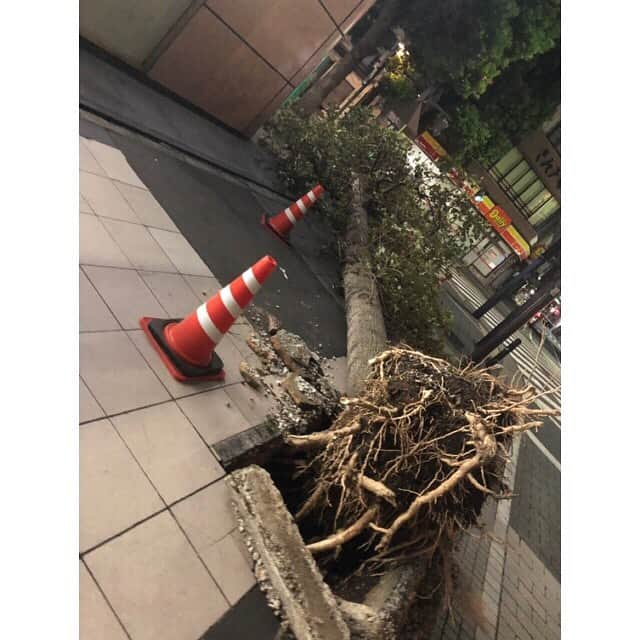 朝比奈彩さんのインスタグラム写真 - (朝比奈彩Instagram)「. . . . 今日撮影にきていて、 台風の被害に遭われてる方と 直接お話をさせて頂きました。 . 私にできる事は、 少しでも多くの方々に知ってもらう事 ではないか。と思い書きました。 . . 千葉県富津市など、 内房地域でも被災されてる方が 沢山いらっしゃるそうです。 台風直撃直後から停電、断水になり、 一部地域では水が出ていましたが、 現在は止まっているそうです。 . 富津市の竹岡では、 コンビニもスーパーもやってなく、 ガソリンも買えないそうです。 . 今日沢山お話をさせて頂き、 被災の大きさを改めて肌で感じました。 少しでも早い復旧と、被災地区の方々が 安心して生活出来るように。 と思います。 . . .」9月14日 16時38分 - asahina_aya