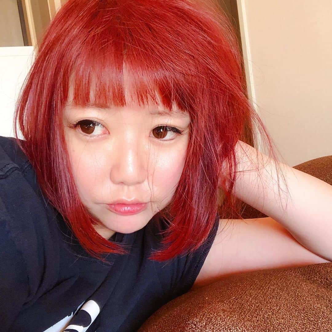 小鳥遊しほのインスタグラム：「お昼寝起きぼっさぼさの図。涼しくなってうれしいね。涼しくなっても冷やし中華はおいしいよね。そういえば「冷やし中華はじめました」は見るけど「冷やし中華おわります」は見ないよね。 #どうでもいい話」