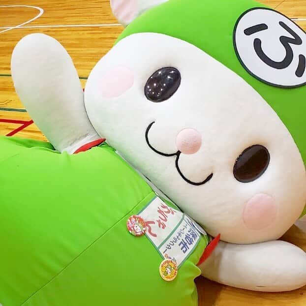 ふっかちゃんさんのインスタグラム写真 ふっかちゃんinstagram てて ん Y Y Y O0w0o Y 滑り込みふっかちゃんだよぉ ふっかちゃん 突然の滑り込み 運動ちぅ 特に意味はないよ かわいいから許してねぇ 昨日は中秋の名月 お団子いっぱい