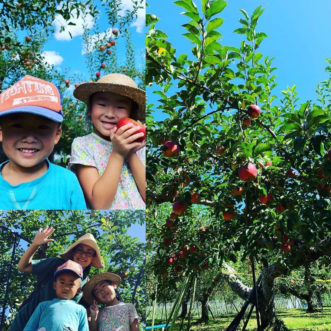 都竹悦子さんのインスタグラム写真 - (都竹悦子Instagram)「りんご狩り！  味覚の秋！実りの秋  子供たちが通う幼稚園でも年少さんが遠足で出掛ける農園。 景色よし、天気良し！ もぎたてのりんごがあんなに美味しいなんて！！感激しました(o^^o)  #5歳9ヶ月 #3歳8ヶ月 #もだに農園 #久々野 #飛騨の秋 #愛おしくて #宝物 #りんご狩り #明々後日は #稲刈り #深まる秋」9月14日 17時15分 - etsukotsuzuku