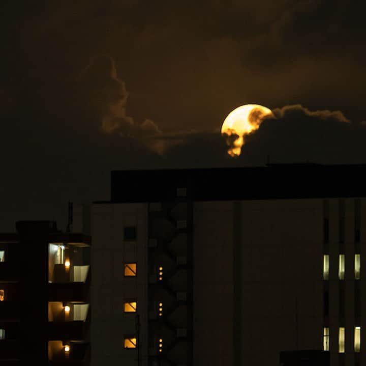 時任三郎のインスタグラム：「今日の満月の出。久しぶりにムーンハントしてみた。ちょっとだけ顔を出してすぐ雲に隠れた。雲がなくなれば少しでも明るい夜になるのだけど。」