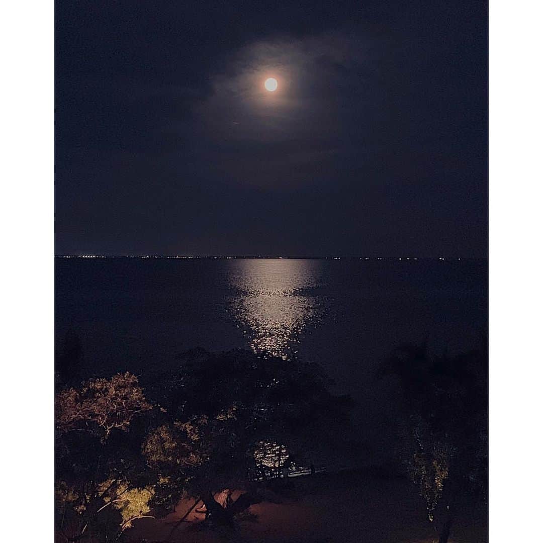 ナタリア・コルドバ・バックリーのインスタグラム：「HARVEST MOON... Sept•13•2019.  This is my home. This land. This ocean. These trees. This sand. No one told me to be careful when I was young. Running wild and free was a regular thing from three to teens. The beaches were white and soft and the palm trees swayed with the wind. The wind would blow with the same rhythm as the waves. If you listened carefully you could hear the melody of paradise. But now you have to be careful when you walk the path of my life. People have come and taken and gone and left nothing.  They silenced the wind and the tide is no longer noticed. The sand is still soft but not truly felt. If you look deep into the trees they will tell you stories older than a thousand years. The great Mayans lived here.  But who comes here to listen?  This land is awake. It’s not yours to take.  People called this place PARADISE. Some came from far away places to experience the dream of freedom. Some with their greed created their own sort of hell. Those places where lost souls roam...sleeping beings. But some of us are awake...we see you...we cultivate the land before our time. The virgin sand, water, and sun. Where whoever you were, you were free and alive. This place exists in the uncorrupted, passionate memories of a young girl that once ran free through the jungles of Cancun.」