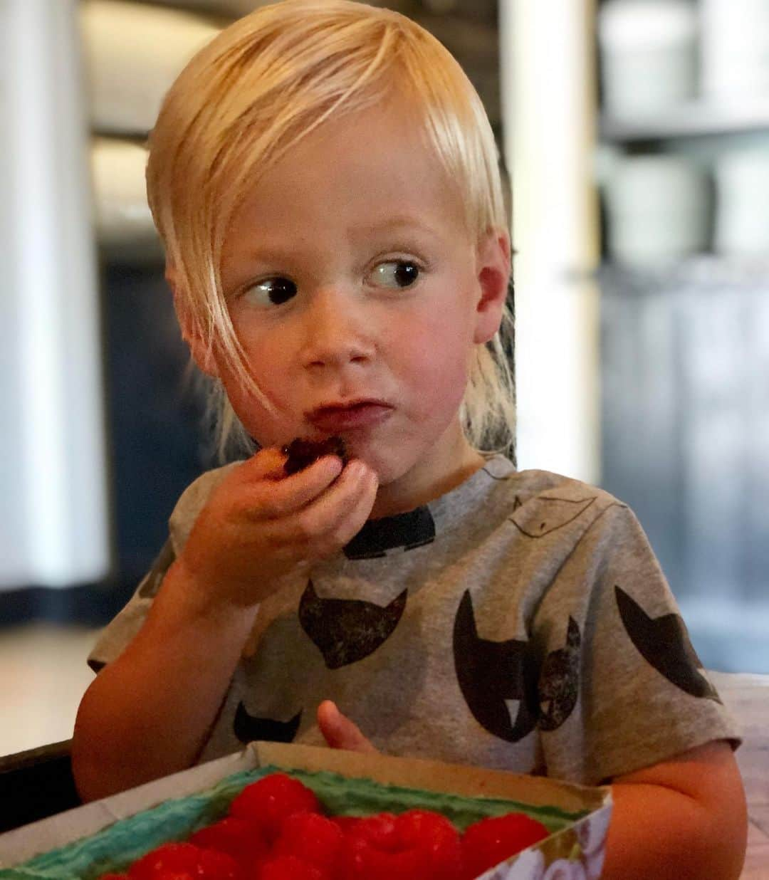 トリ・スペリングさんのインスタグラム写真 - (トリ・スペリングInstagram)「He came, he saw, he conquered the farmers market... - Beau is super proud of the fresh berries he picked out at our local farmers market today. Love seeing him enjoy local and organic and healthy treats like the beautiful berries we got today. #momwin #toddlergoals #berries #organic #farmersmarket #imtryingtoeatandshewontstoptakingpictures」9月15日 5時47分 - torispelling