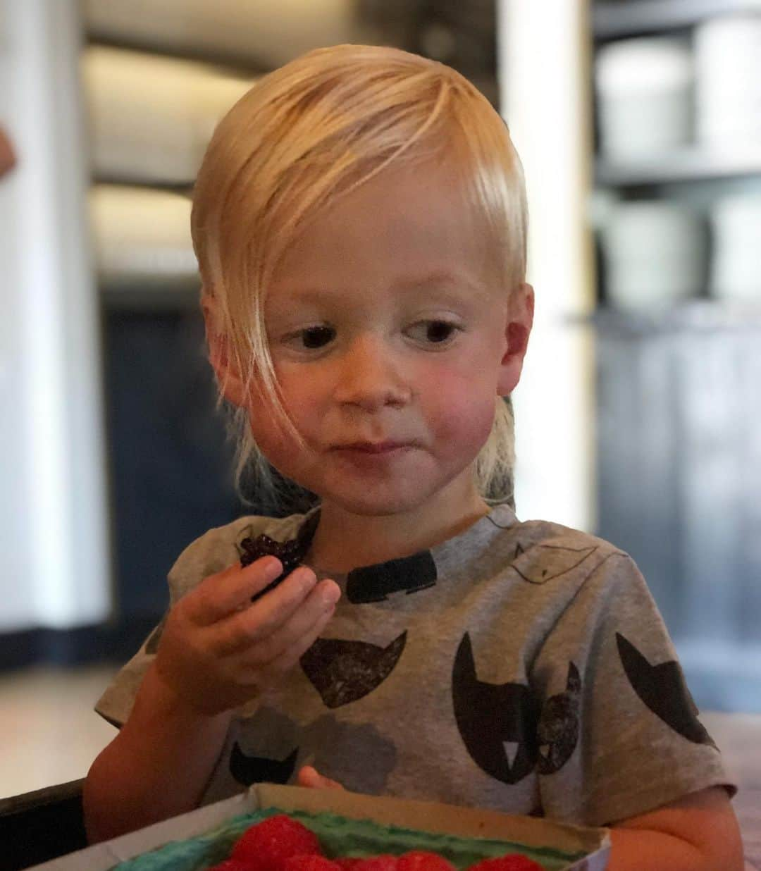 トリ・スペリングさんのインスタグラム写真 - (トリ・スペリングInstagram)「He came, he saw, he conquered the farmers market... - Beau is super proud of the fresh berries he picked out at our local farmers market today. Love seeing him enjoy local and organic and healthy treats like the beautiful berries we got today. #momwin #toddlergoals #berries #organic #farmersmarket #imtryingtoeatandshewontstoptakingpictures」9月15日 5時47分 - torispelling