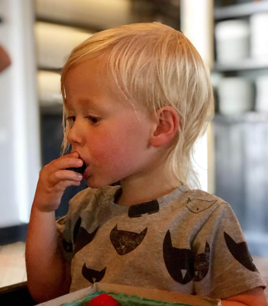 トリ・スペリングさんのインスタグラム写真 - (トリ・スペリングInstagram)「He came, he saw, he conquered the farmers market... - Beau is super proud of the fresh berries he picked out at our local farmers market today. Love seeing him enjoy local and organic and healthy treats like the beautiful berries we got today. #momwin #toddlergoals #berries #organic #farmersmarket #imtryingtoeatandshewontstoptakingpictures」9月15日 5時47分 - torispelling