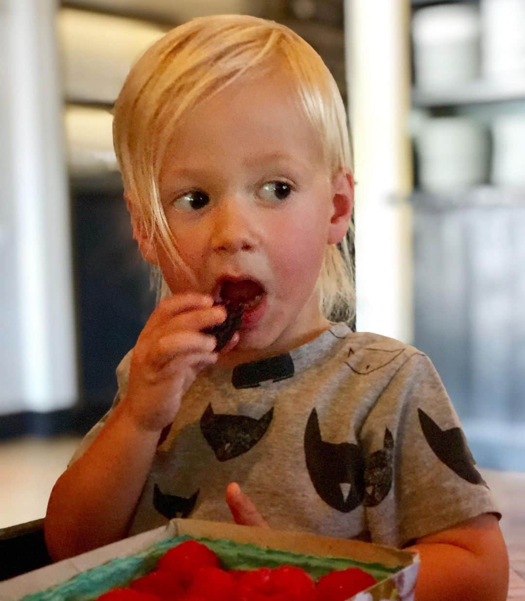 トリ・スペリングさんのインスタグラム写真 - (トリ・スペリングInstagram)「He came, he saw, he conquered the farmers market... - Beau is super proud of the fresh berries he picked out at our local farmers market today. Love seeing him enjoy local and organic and healthy treats like the beautiful berries we got today. #momwin #toddlergoals #berries #organic #farmersmarket #imtryingtoeatandshewontstoptakingpictures」9月15日 5時47分 - torispelling