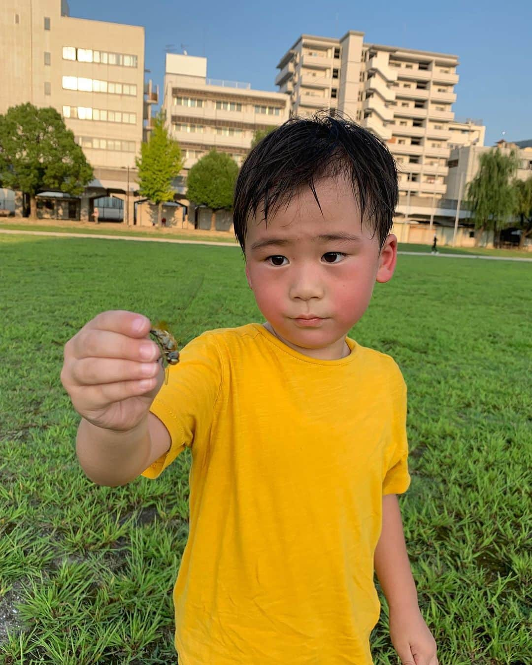 長崎亭キヨちゃんぽんさんのインスタグラム写真 - (長崎亭キヨちゃんぽんInstagram)「息子と昆虫採集。  自分の身の丈より長い網を振り回し、スピードが速いトンボを追いかけ回す息子。  もちろんトンボにはかすりもしない。  しばらくしたら疲れて飽きるだろう  汗びっしょり、やめない息子。  1時間後、  うそっ？トンボ捕まえた！  今日は息子に何か教えてもらった気がする。  諦めない気持ち。  #息子 #ありがとう」9月14日 21時20分 - kiyo_chanpon