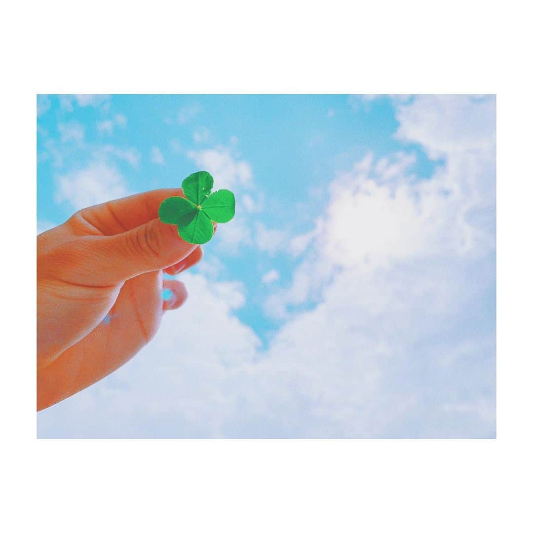 田口司のインスタグラム：「四葉みっけ。 #photography #photooftheday #vsco #japan #tokyo」