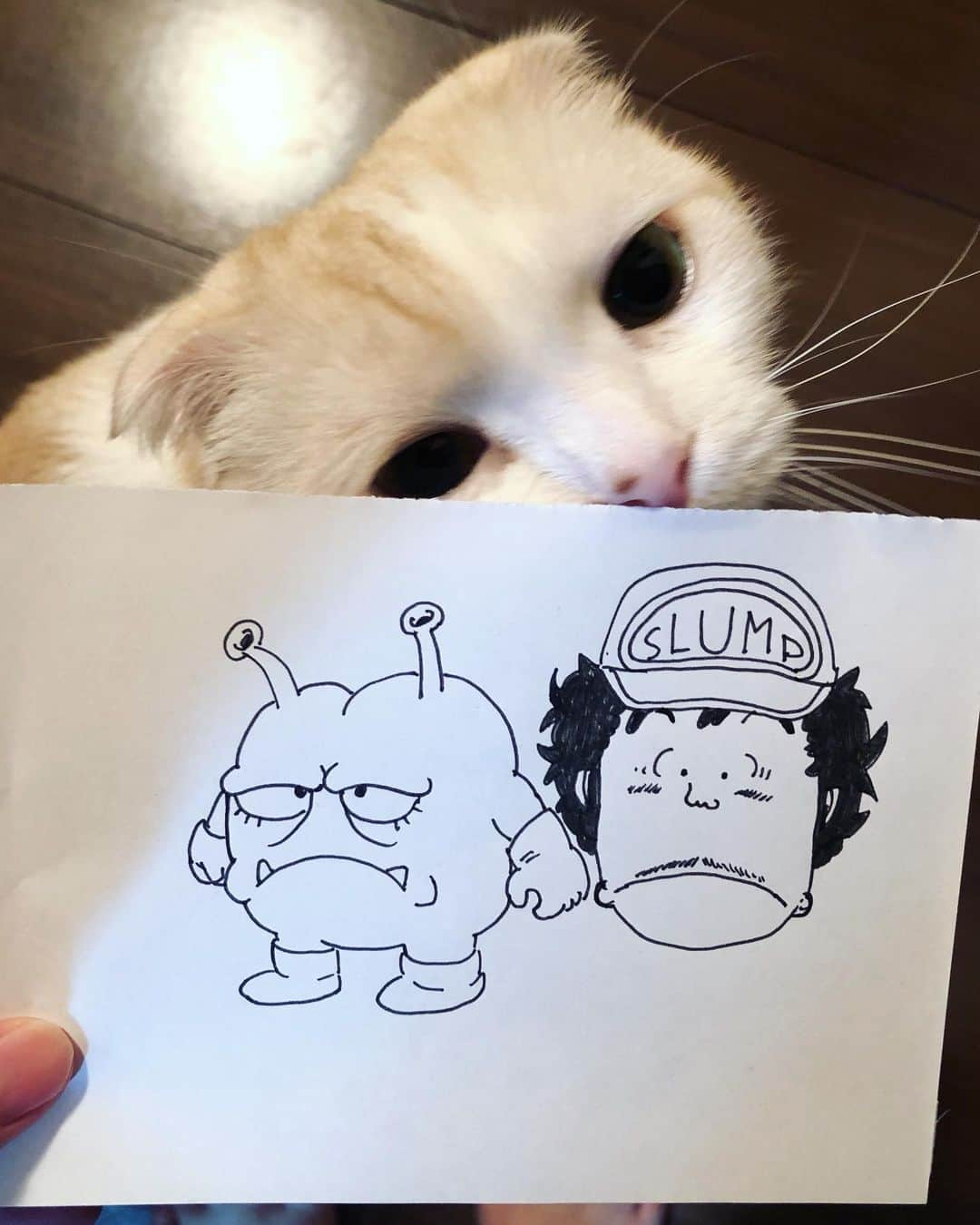 はなぼくろきなこさんのインスタグラム写真 - (はなぼくろきなこInstagram)「きなパパの落描き(•ᴗ•) 模写にしてもうまい…この紙捨てにくいなあ。。 . . . . . #はなきな #猫部 #ニコちゃん大魔王 #のりまきせんべい  #ドクタースランプ #はなきな #猫部 #きなパパ」9月14日 21時49分 - hanabokurokinako