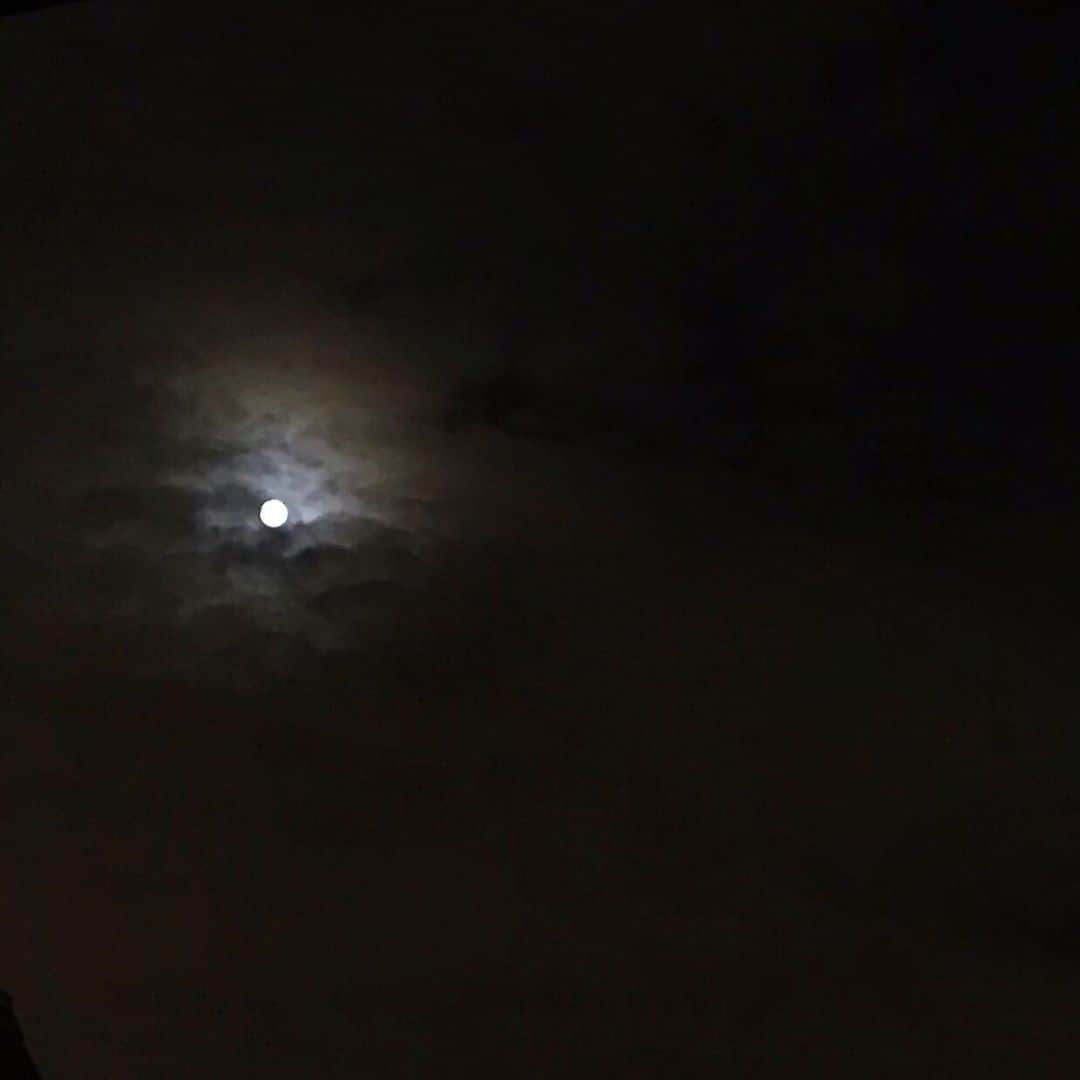 towanaさんのインスタグラム写真 - (towanaInstagram)「昨晩は十五夜🐇薄雲りの合間の美しい中秋の名月 今夜は満月。急に涼しくなりましたね。大好きな、月が綺麗な季節.. おやすみなさい」9月14日 22時48分 - towana