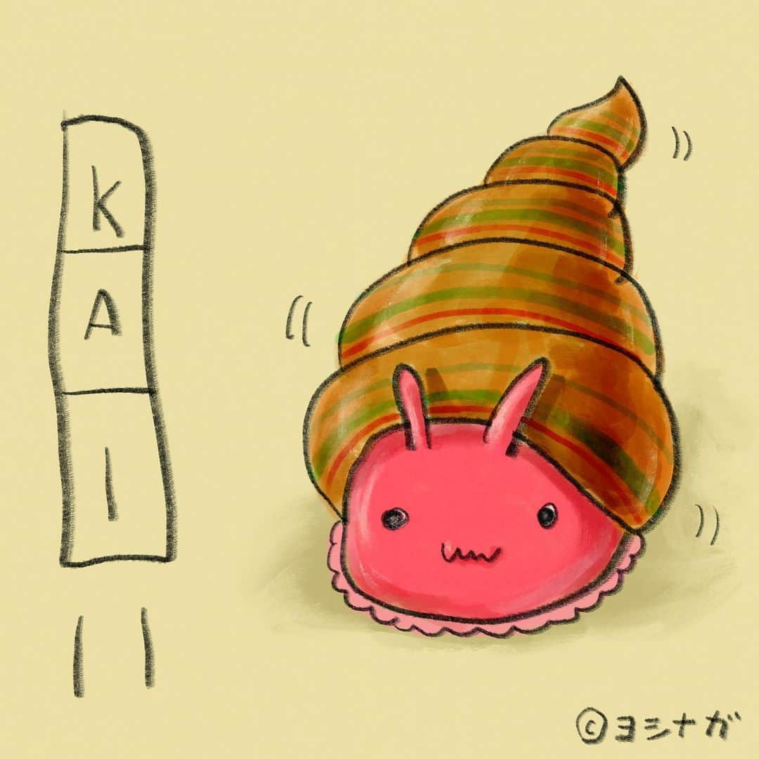  吉永龍樹のインスタグラム：「貝くん ・ ・ ・ #貝 #巻貝 #生き物 #creature #LINEスタンプ #僕秩 #ヨシナガ #dfnt #illustration #イラスト #いらすと #どうぶつ #kawaii #絵 #drawing #キャラクター#イラストレーター #いらすとぐらむ #イラストグラム #いらすと #japaneseillustrator #illust #illustration #illustrator #illustgram」