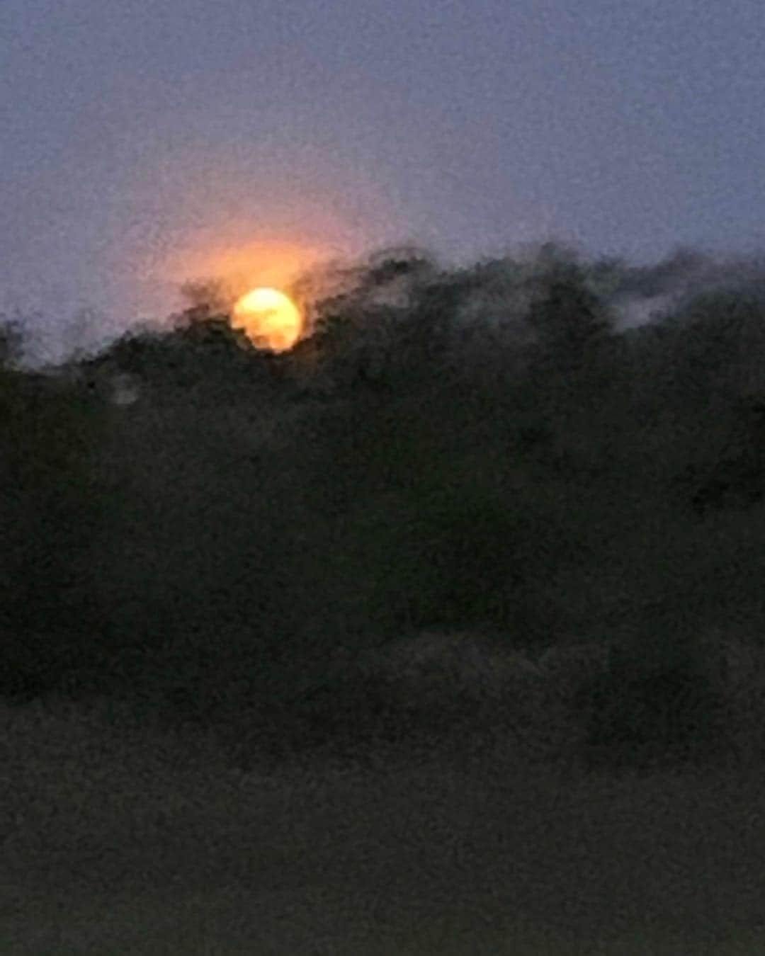 ブルース・ウェーバーさんのインスタグラム写真 - (ブルース・ウェーバーInstagram)「Chasing the Harvest Moon from  a speeding car on the way to Montauk」9月14日 23時38分 - bruce_weber