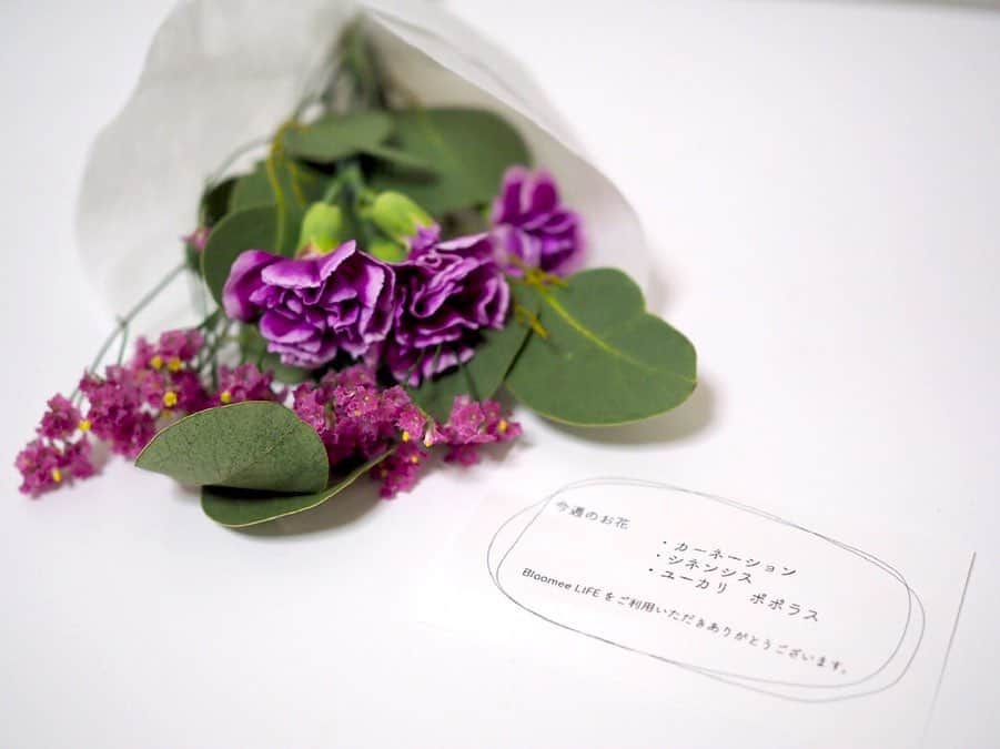 manoさんのインスタグラム写真 - (manoInstagram)「2019.09.14 @bloomeelife 様からお花が届きました！ ポスト投函なので、不在時にも便利☺️ . お花の名前や、長持ちする延命剤も同封してくださってます💐 . 初回無料クーポンぜひお使いください。 クーポンコード：AKI389 ※有効期限：2019年11月30日 . #bloomeelife #花のある生活 #花が好き #bloomeelife公式アンバサダー」9月14日 23時50分 - gift__08