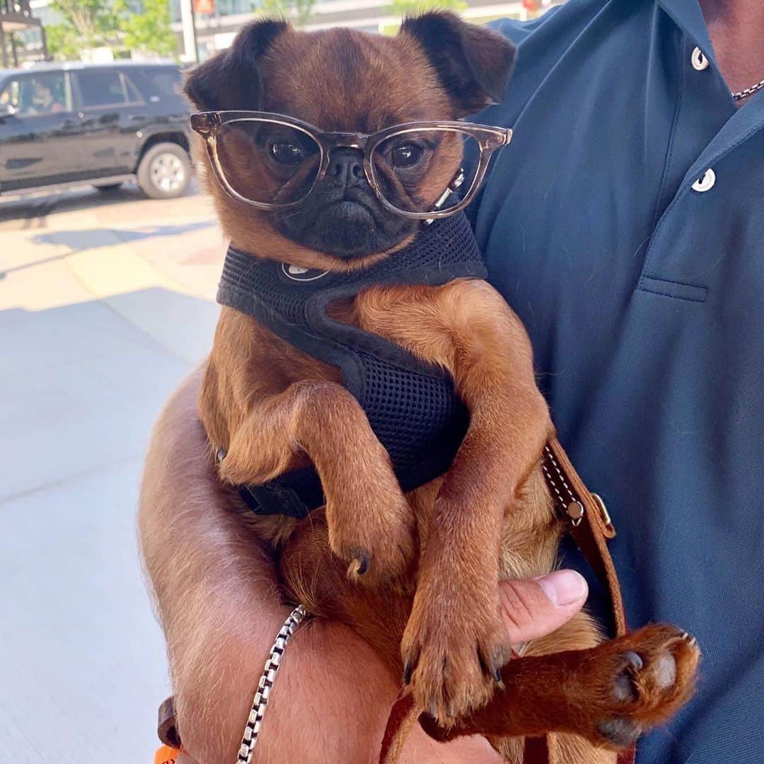 Warby Parkerのインスタグラム：「We have the most adorable customers 😂💙 cc: @warbybarker (Photo by @stanley_yumyum.)」