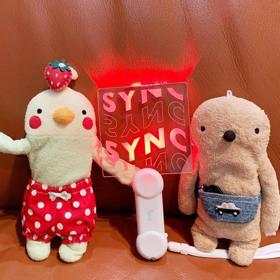 江口ともみさんのインスタグラム写真 - (江口ともみInstagram)「久しぶりにLeadのライブ❣️ Leadのライブと言えば、もぐたろうとおかちゃんだからね😊  ライブ中ライトと一緒に持たれてブンブン振り回されて、ちょっと2人はぐったりしてました（笑）  いやはやホント毎回思うけど。。。 カッコいい✨自慢の息子たちです  そしてLeadには男性ファンもいるのですが、男子‼️って呼びかけで大きな声が横から聞こえてきて、見たら。。。ソリディーモの向山 毅くんと木全寛幸くんだった（笑）  相変わらず一緒に写真撮ると、捕らえられた宇宙人感はいなめない😅  アベマやってた頃の仲間がこうやって繋がってるのがホント嬉しいですね😊暑い夏のツアーだったけど今日がファイナル✨お疲れ様でした😊  年末のDVDも楽しみkにしてるよ📀  #lead #鍵本輝#谷内伸也 #古屋敬多  #ライブツアー #fumofumosan #フモフモサン #もぐたろう#おかちゃん #SYNC #solidemo #向山毅 #木全寛幸」9月15日 0時18分 - tomomin.eguchi