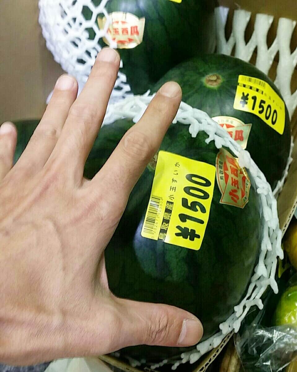 町田星児さんのインスタグラム写真 - (町田星児Instagram)「気がついたら秋になってて、よう考えたらこの夏にスイカ食べてへんぞ、と思いスイカを求めてスーパーをはしご。1枚目のと2枚目のを買った。 #すいか」9月15日 1時26分 - machidaseiji