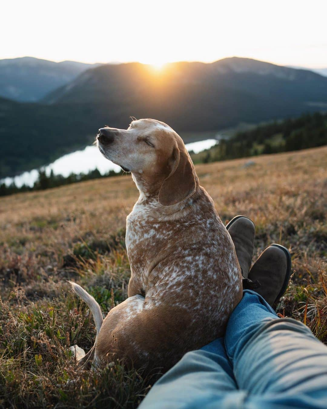 マディさんのインスタグラム写真 - (マディInstagram)「Caught sunset last night @ 12,000ft with my sweetest friend 😊 we’re spending the next month around Colorado fishing streams we’ve never seen and staying up high before the snow comes」9月15日 2時25分 - thiswildidea