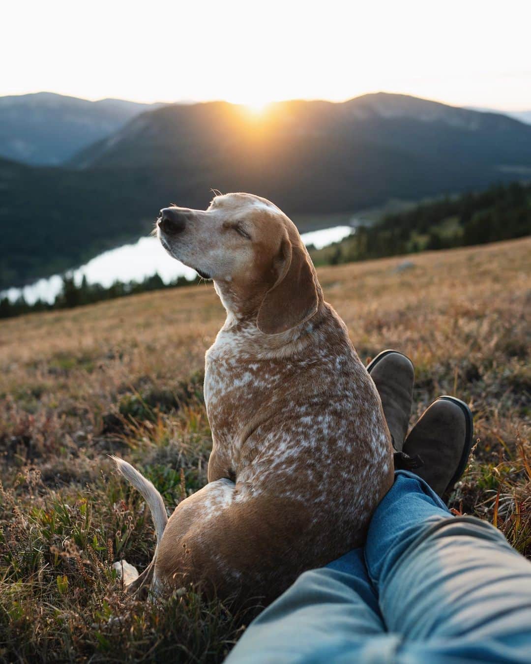 マディのインスタグラム：「Caught sunset last night @ 12,000ft with my sweetest friend 😊 we’re spending the next month around Colorado fishing streams we’ve never seen and staying up high before the snow comes」