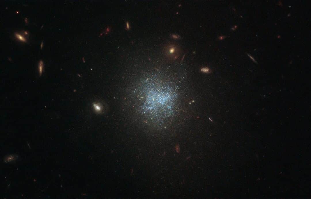 NASAさんのインスタグラム写真 - (NASAInstagram)「A galaxy so faint you can barely see it ✨  @NASAHubble Space Telescope recently caught a glimpse of a galaxy 30 million light-years away. UGC 695 has so few stars that its brightness is less than the background brightness of Earth’s atmosphere — making it difficult to observe. Thankfully, Hubble managed to take a peek for us.  Credit: ESA/Hubble & NASA, D. Calzetti  #NASA #Space #Galaxy」9月15日 2時38分 - nasa