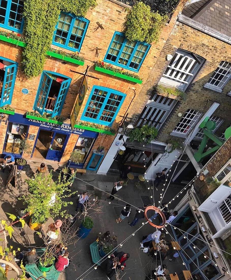 Neal's Yard Remediesさんのインスタグラム写真 - (Neal's Yard RemediesInstagram)「It's 103 days until Christmas! 🎄  Yes that's right, we're already getting ready for the season to be jolly, and we're looking to hire Christmas staff to join our retail teams in our London stores!  If you're passionate about organic skincare, health and wellbeing and want to work alongside like-minded people, then we want to hear from you! Email our team on recruitment@nealsyardremedies.com to find out more.」9月15日 3時14分 - nealsyardremedies