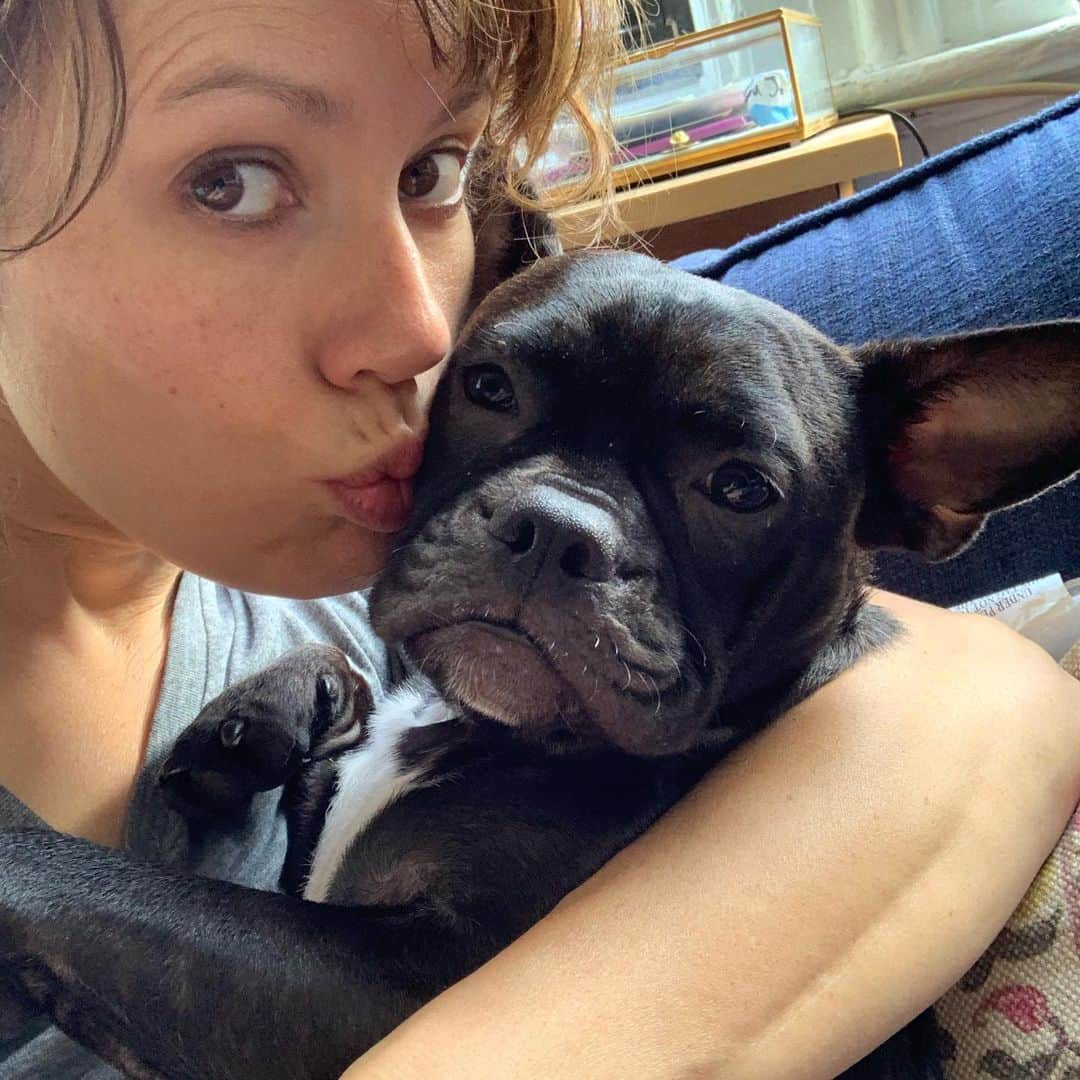 エミリー・スワローさんのインスタグラム写真 - (エミリー・スワローInstagram)「Saturdays are for snuggles.  #obvs #frenchton #frenchtonpuppy #saturdaysnuggles #puppysnugglesarethebestsnuggles @normajeanmeatballs」9月15日 3時41分 - bigeswallz