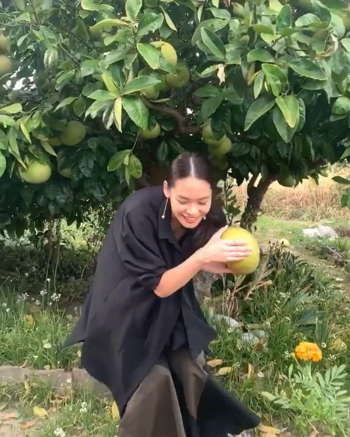 池田莉子のインスタグラム