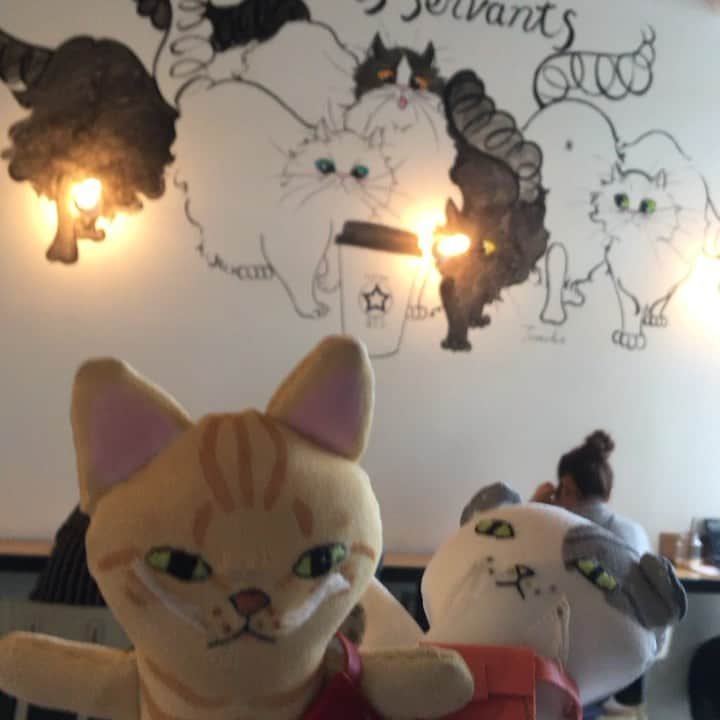 yamanekoのインスタグラム：「@cats_servants 昨日から僕のインスタで話題になっておりましたので、猫の下僕の集いに参加して参りました😹ありがとうございました。とっても楽しかったです😸 誰かに会えるかな〜と思っていたら何と！ ＠uyamiya さんとばったり！お互い初めてお会いしたのに古くからのお友だちの様でした😹 猫の招く力は絶大だなぁ😹😹😹やえーい！」