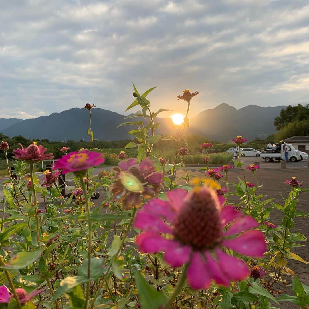ノブ横地のインスタグラム：「こもガク祭終了  最後きれいな夕焼けでした。」
