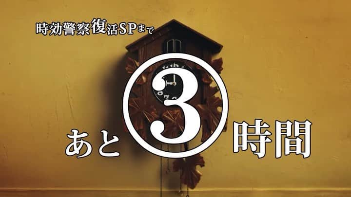 【テレ朝公式】時効警察はじめましたのインスタグラム：「ピンポンパンポ〜ン📣  #時報警察 が  #時効警察復活SP まで  あと【３時間】をお知らせいたします。  #由紀さおり #武田真治」