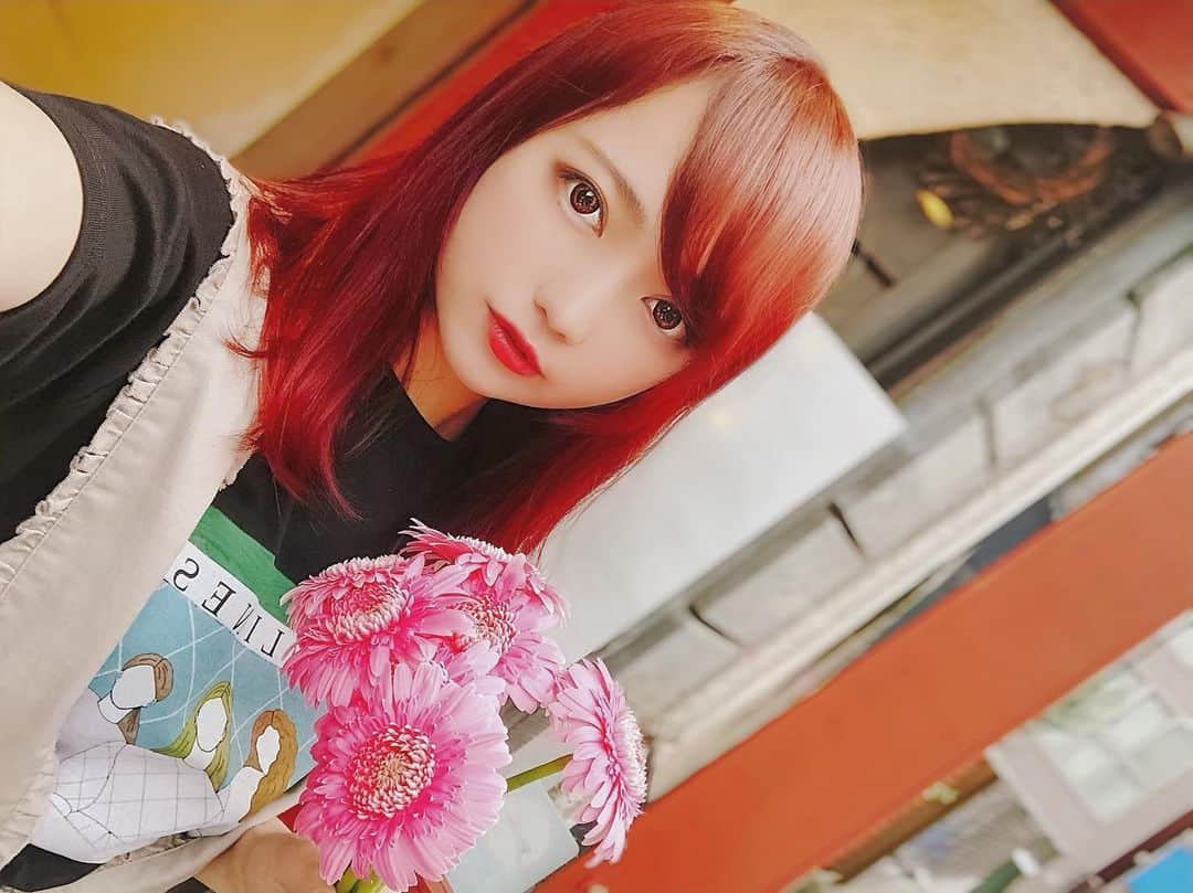 鎌田紘子さんのインスタグラム写真 - (鎌田紘子Instagram)「スタンドフラワーの花、ガーベラだけ持って帰った✌︎、さんきゅ  #ガーベラ #ピンクのガーベラ #メリージェニー #merryjenny #スタンドフラワー」9月29日 18時25分 - hirokokamata12